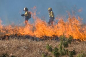 Two firefighters fight a wildfire in a grassy field.